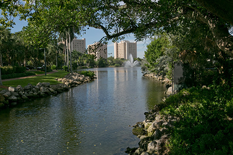 Lake Osceola at the University of Miami Coral Gables campus